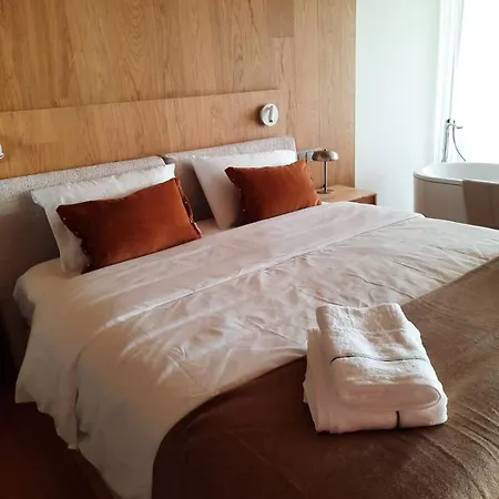 Luxury And Extraordinary In El Higueron *